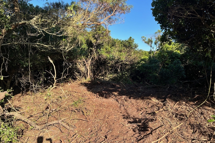 0 Bedroom Property for Sale in Paradise Beach Eastern Cape